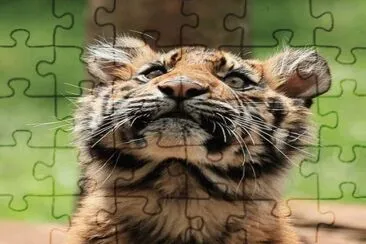 . jigsaw puzzle