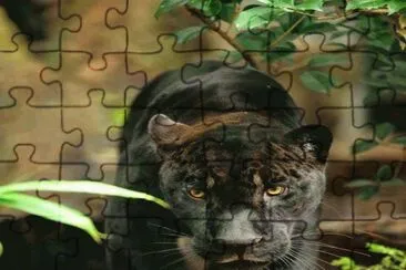 . jigsaw puzzle