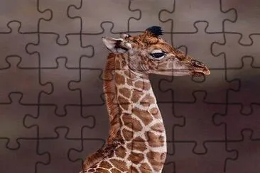 . jigsaw puzzle