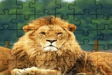 . jigsaw puzzle