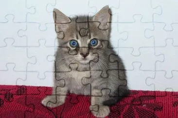 MatTeo jigsaw puzzle