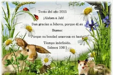 paraiso jigsaw puzzle
