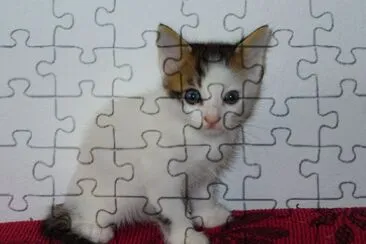 Blanco jigsaw puzzle