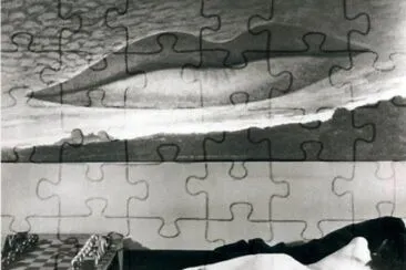 65 jigsaw puzzle