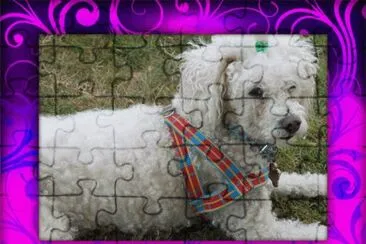 MASCOTA jigsaw puzzle