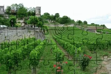 Saint-Ã‰milion. Francia