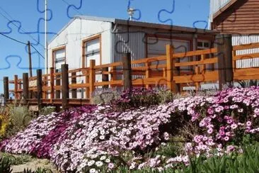 En Puerto PirÃ¡mides. Chubut. Argentina