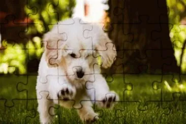 may12 jigsaw puzzle