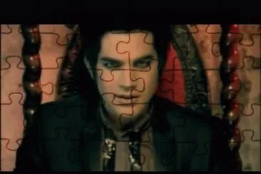 Adam Lambert For Your Entertainment jigsaw puzzle