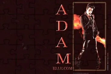 Adam Lambert jigsaw puzzle