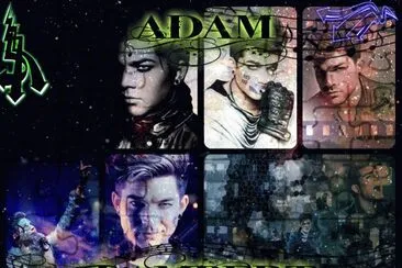 Adam Lambert