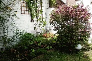 My GREAT garden (Verviers-Belgium)