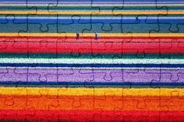 views jigsaw puzzle