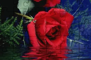 Rosa jigsaw puzzle