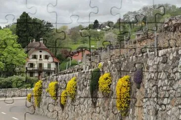 mur en fleurs