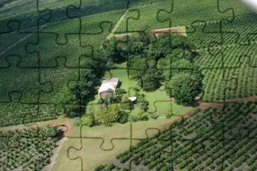 En la Provincia de Misiones. Argentina