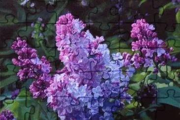 may16 jigsaw puzzle