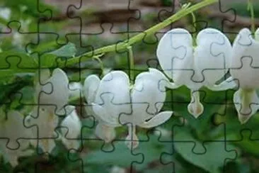 may17 jigsaw puzzle