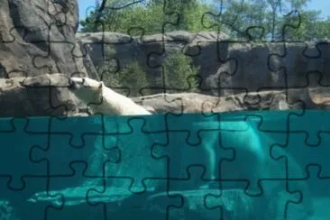008 jigsaw puzzle