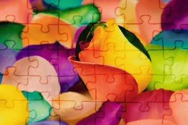 nb jigsaw puzzle