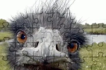 Â¡vete! jigsaw puzzle