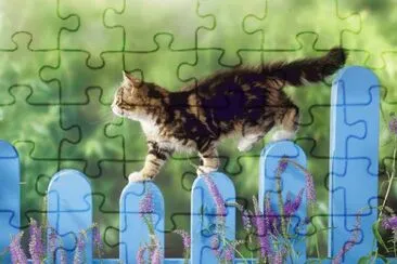 de paseo jigsaw puzzle