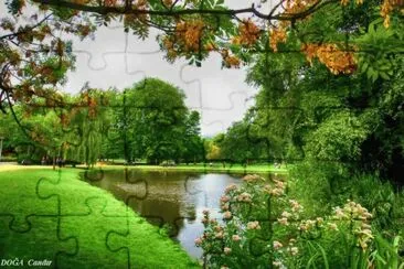 lago jigsaw puzzle
