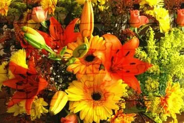 Flors