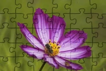cosmos jigsaw puzzle