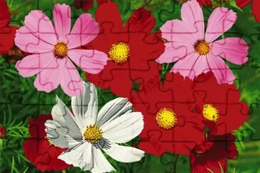 cosmos jigsaw puzzle