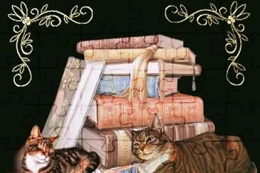 פאזל של libri
