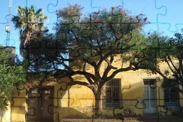 En Rosario de la Frontera. Salta. Argentina