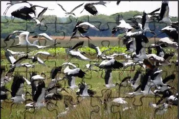 En MburucuyÃ¡. Corrientes. Argentina