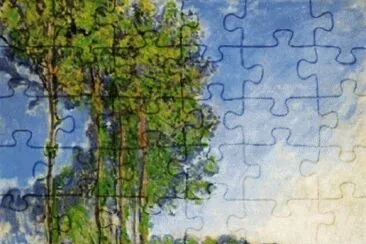 15 jigsaw puzzle