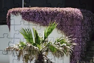 muro
