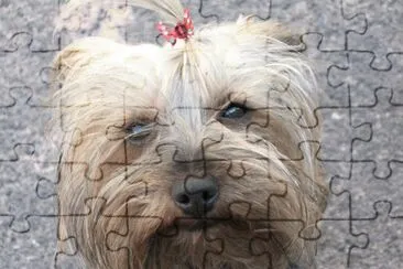 Fotos que he tomado de animales mios y de algunas otras personas