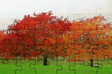 automne jigsaw puzzle
