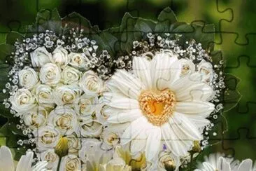 margaridas