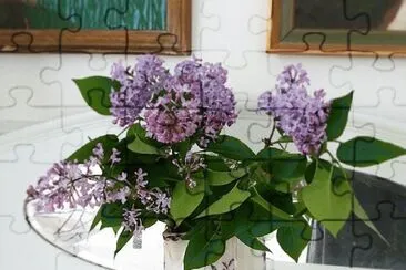 Lilacs