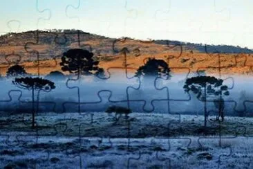 169