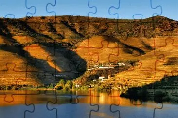 171 jigsaw puzzle