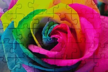 פאזל של Rainbow Rose