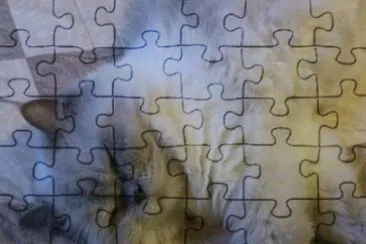 maytwtp jigsaw puzzle