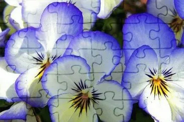 flores jigsaw puzzle