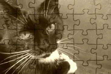 Tess jigsaw puzzle