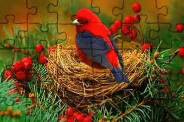 pÃ¡ssaro jigsaw puzzle