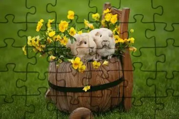 bichinho jigsaw puzzle