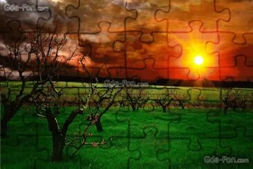 175 jigsaw puzzle