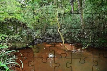 En la Provincia de Misiones. Argentina jigsaw puzzle