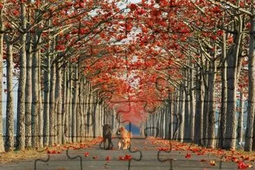 179 jigsaw puzzle